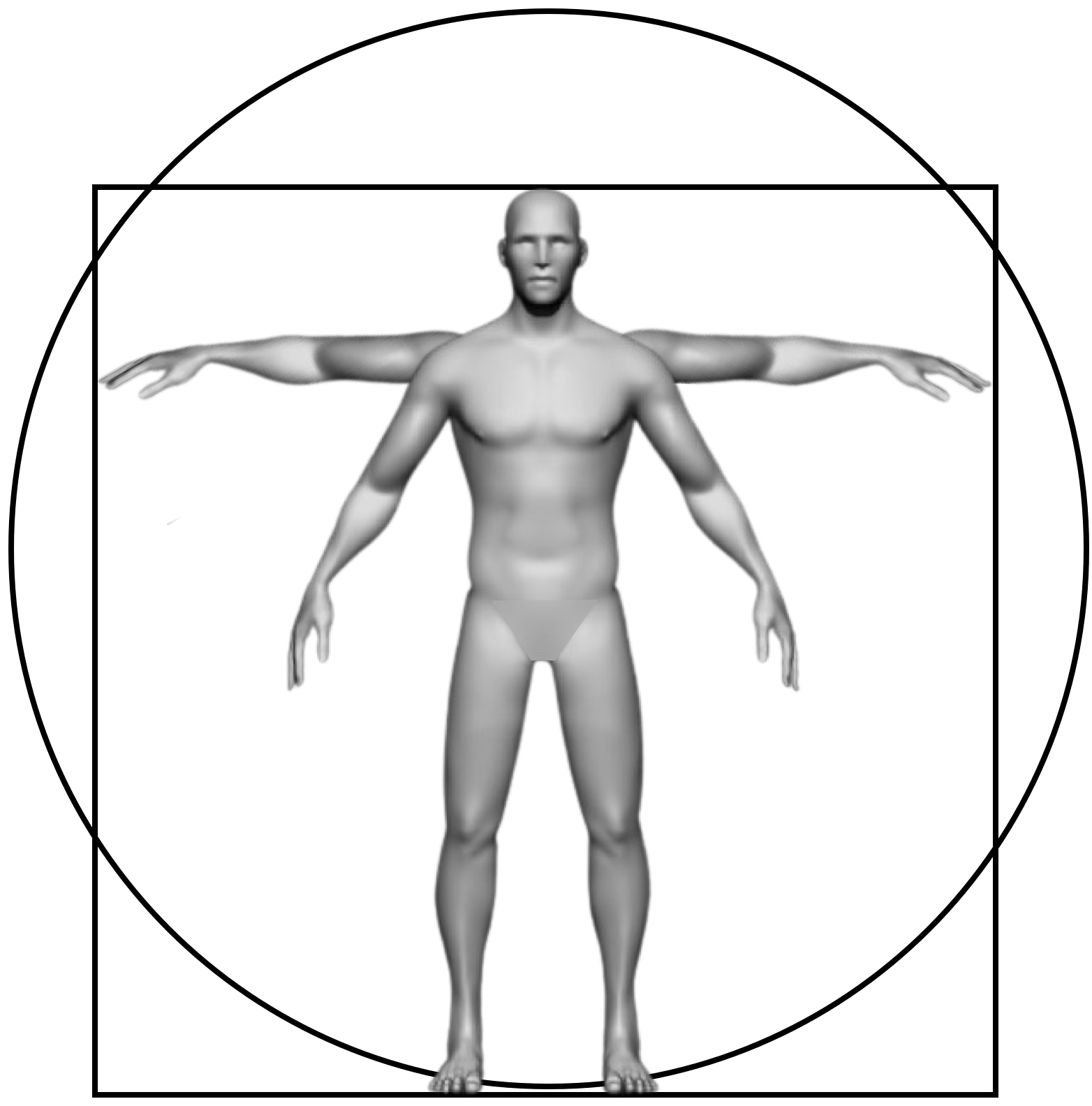 gambar acuan proporsional tubuh manusia